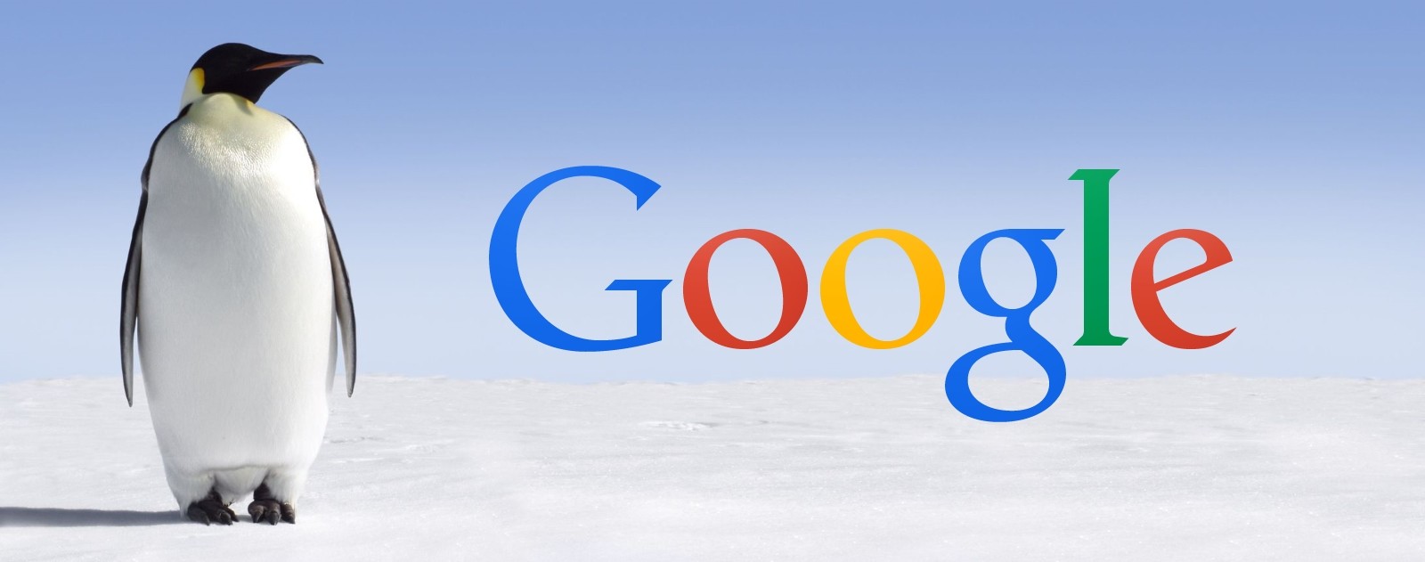 Google Penguin 3